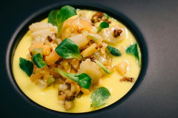 Effektives Intervallfasten für Judoka: So erreichst du dein ideales Wettkampfgewicht"